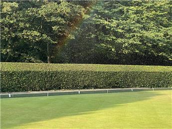 Early Morning Watering